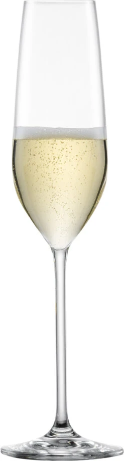 Schott Zwiesel Champagneglazen Fortissimo - 240 Ml - 6 Stuks -Beste Keukengerei 112494 Fortissimo Sekt Gr7 fstb 1fCerJS2bRk85v