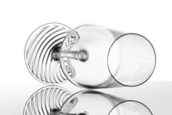 Zwiesel Glas Champagneglazen Echo - 395 Ml - 4 Stuks -Beste Keukengerei 4001836117838 2