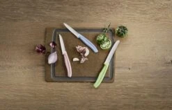 Victorinox Schilmessenset Divers - 3-Delig -Beste Keukengerei 7613329141908 2