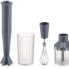 Alessi Staafmixer Set Plissé - Grijs - Michele De Lucchi - MDL10S G -Beste Keukengerei MDL10S G A4 3500pxl
