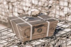 Anovi Oestervorkjes - 4 Stuks -Beste Keukengerei Oysterforks