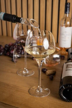 Sareva Wijnopener Set (met Wijnstopper. Foliesnijder & Schenktuit) 12 Sareva Wijnopener Set (met Wijnstopper. Foliesnijder & Schenktuit) -Beste Keukengerei Wijnopener 12