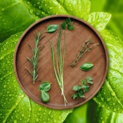 ASA Selection Pizzabord / Onderbord Wood ø 30 Cm -Beste Keukengerei grande wood holzteller kraeuter 2 2