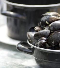 Cosy & Trendy Mosselpan - Oranje - ø 18 Cm / 2.8 Liter 12 Cosy & Trendy Mosselpan - Oranje - ø 18 Cm / 2.8 Liter -Beste Keukengerei mosselpan 4